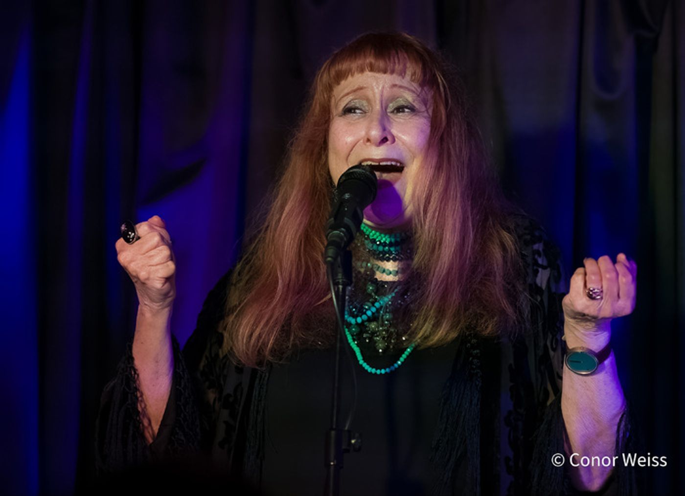 Photos: Highlights of Carol Lipnik's CREATURES OF THE WIND at Pangea  Image
