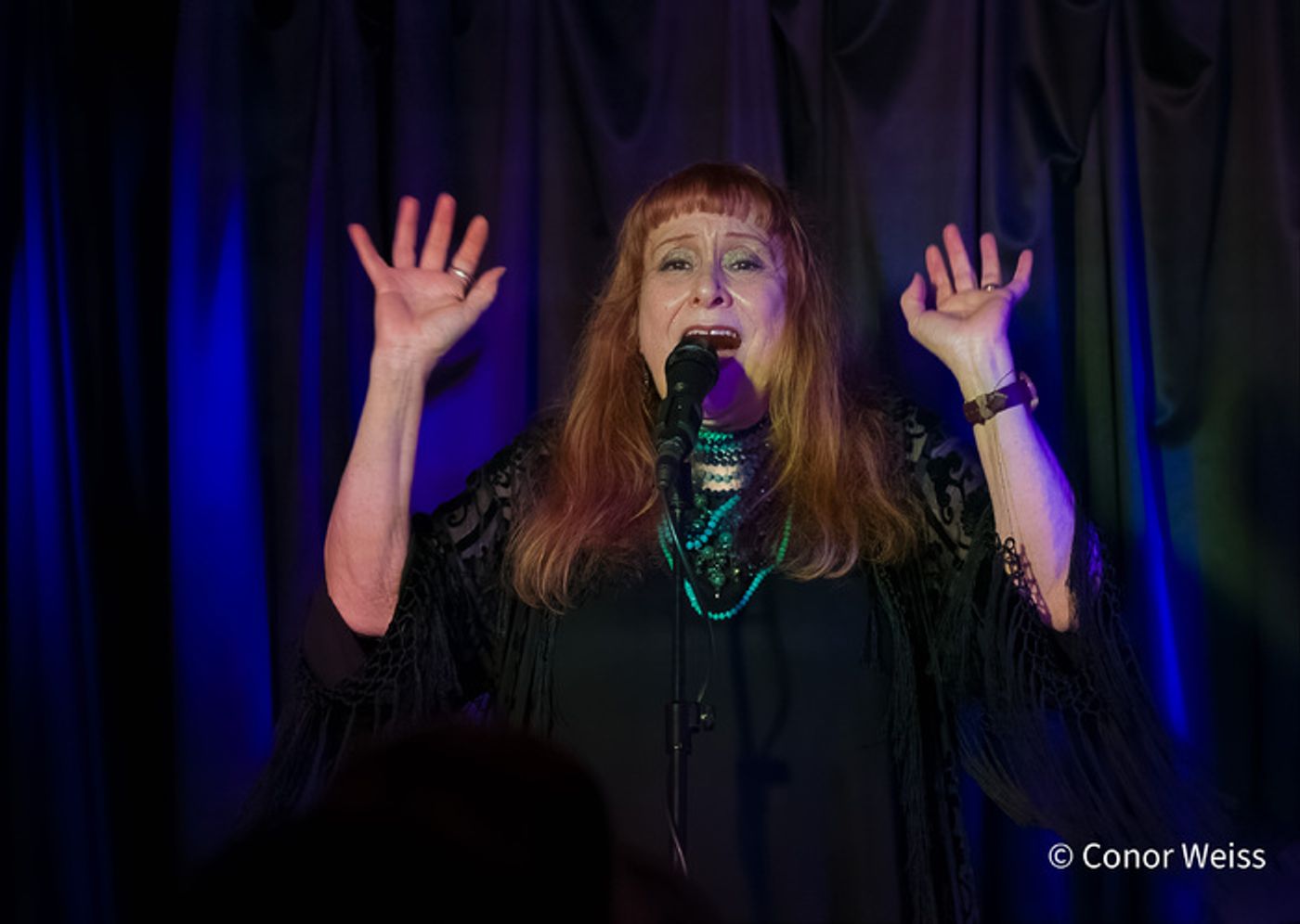 Photos: Highlights of Carol Lipnik's CREATURES OF THE WIND at Pangea  Image