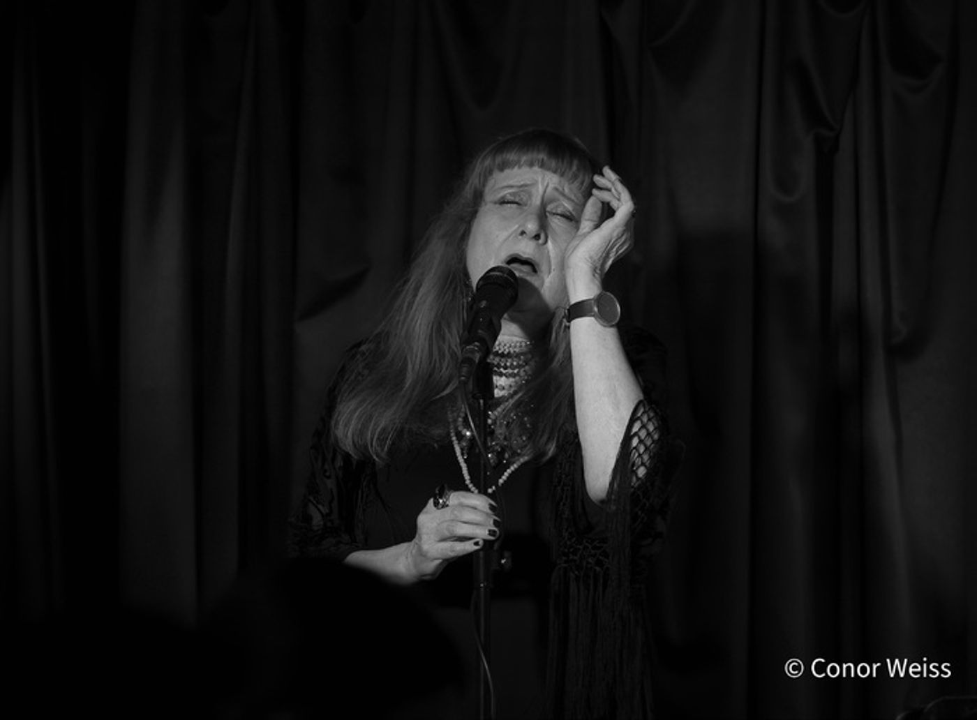 Photos: Highlights of Carol Lipnik's CREATURES OF THE WIND at Pangea  Image