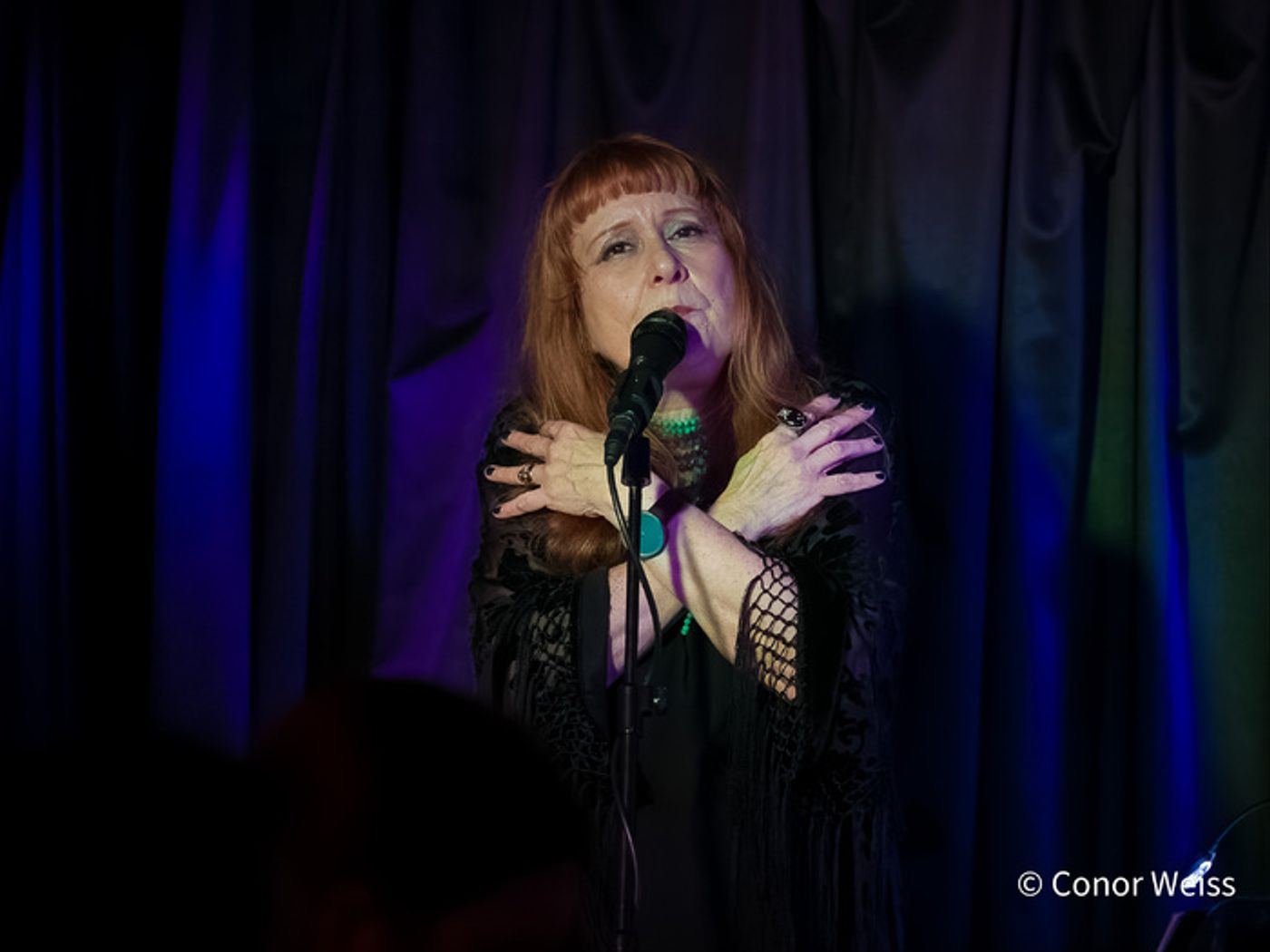 Photos: Highlights of Carol Lipnik's CREATURES OF THE WIND at Pangea  Image