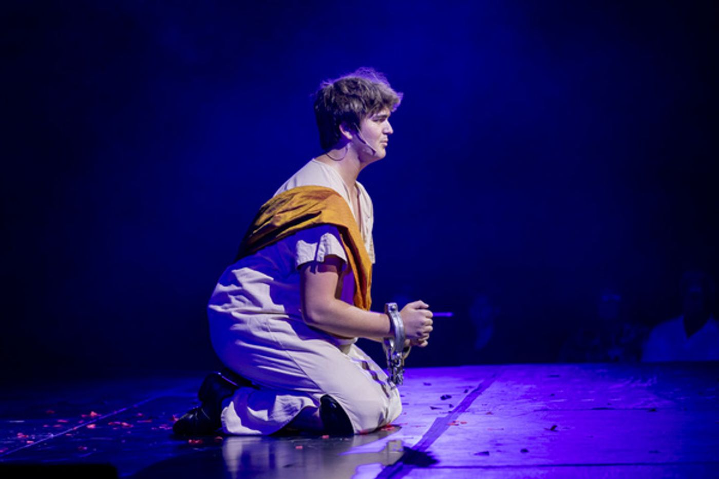 Photos: First Look at JOSEPH AND THE AMAZING TECHNICOLOR DREAMCOAT at Arts Bonita  Image