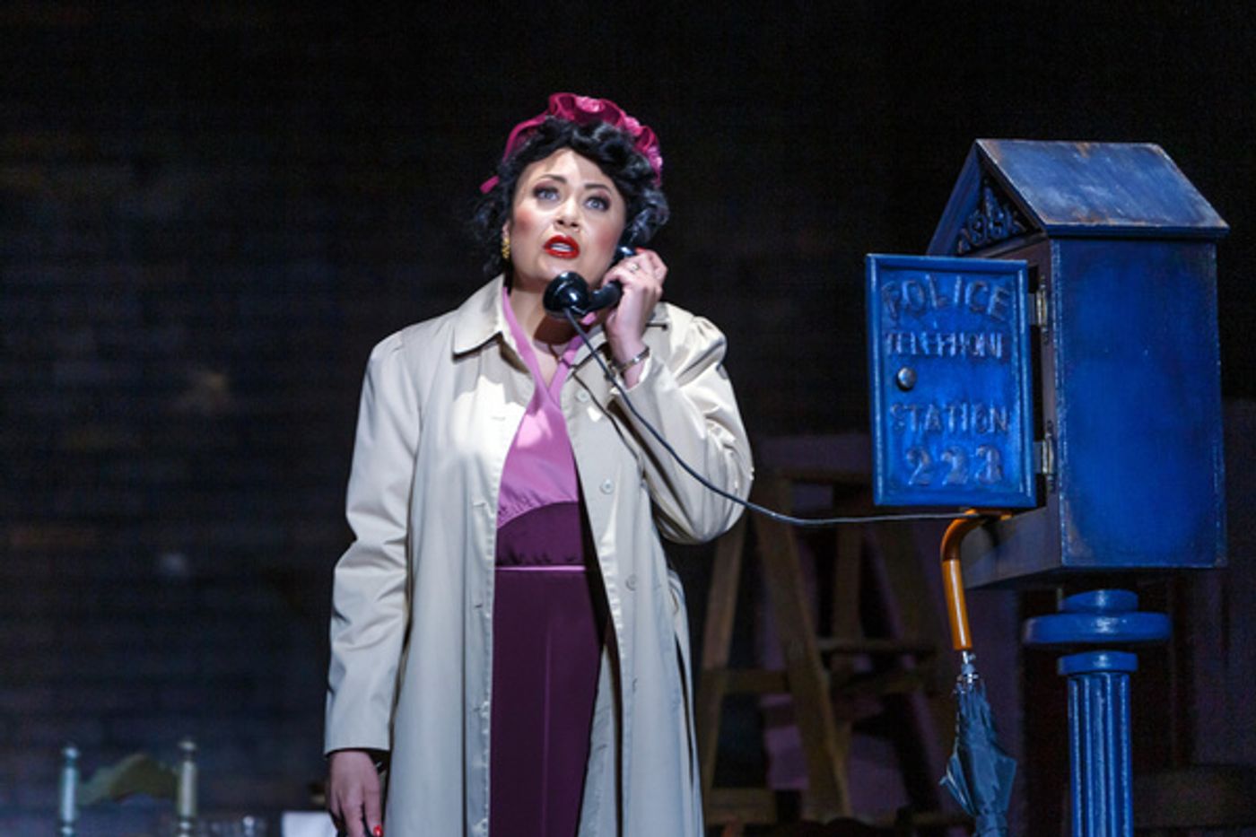 Photos: Photos From Pittsburgh Opera's Production Of THE PASSION OF MARY CARDWELL DAWSON  Image