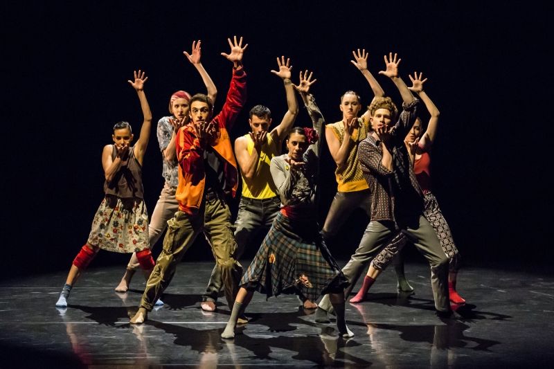 Review: SWAN LAKES AND MINUS 16 at Harbourfront Centre  Image