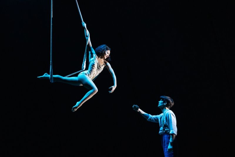 Broadway By Design: WATER FOR ELEPHANTS Image