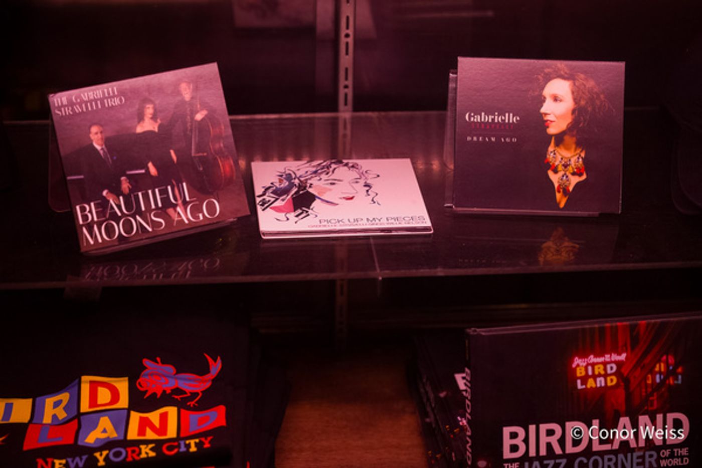 Photos: Gabrielle Stravelli Trio Celebrates BEAUTIFUL MOONS AGO At Birdland  Image