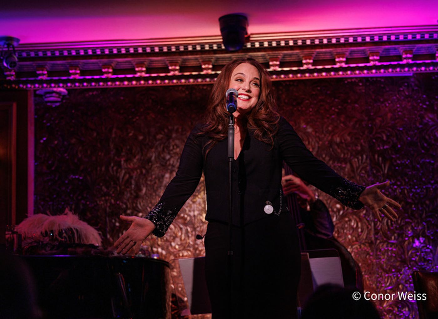 Photos: Melissa Errico: SONDHEIM IN THE CITY VINYL RELEASE CELEBRATION CONCERT  Image