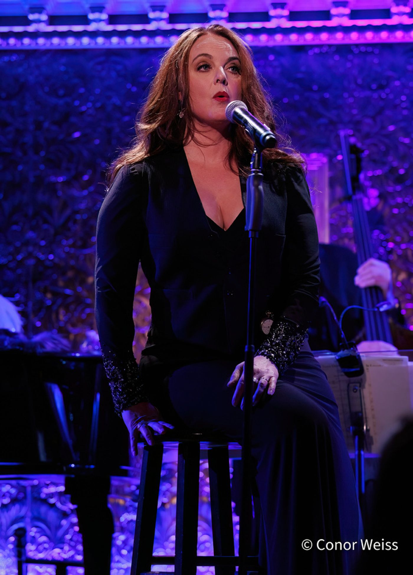 Photos: Melissa Errico: SONDHEIM IN THE CITY VINYL RELEASE CELEBRATION CONCERT  Image