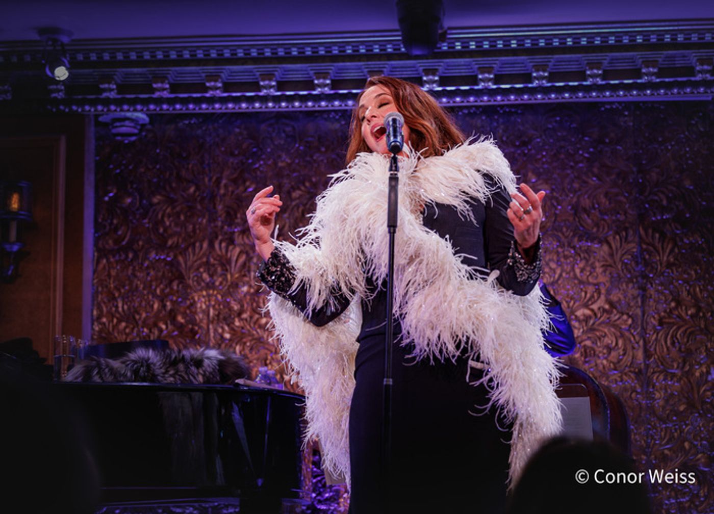 Photos: Melissa Errico: SONDHEIM IN THE CITY VINYL RELEASE CELEBRATION CONCERT  Image