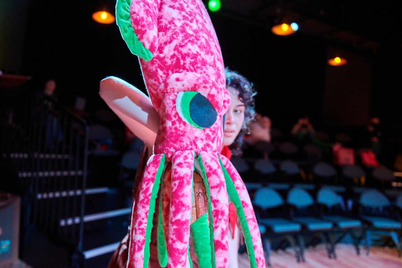 Photos: First Look At ESCAPE FROM PELIGRO ISLAND At First Stage  Image