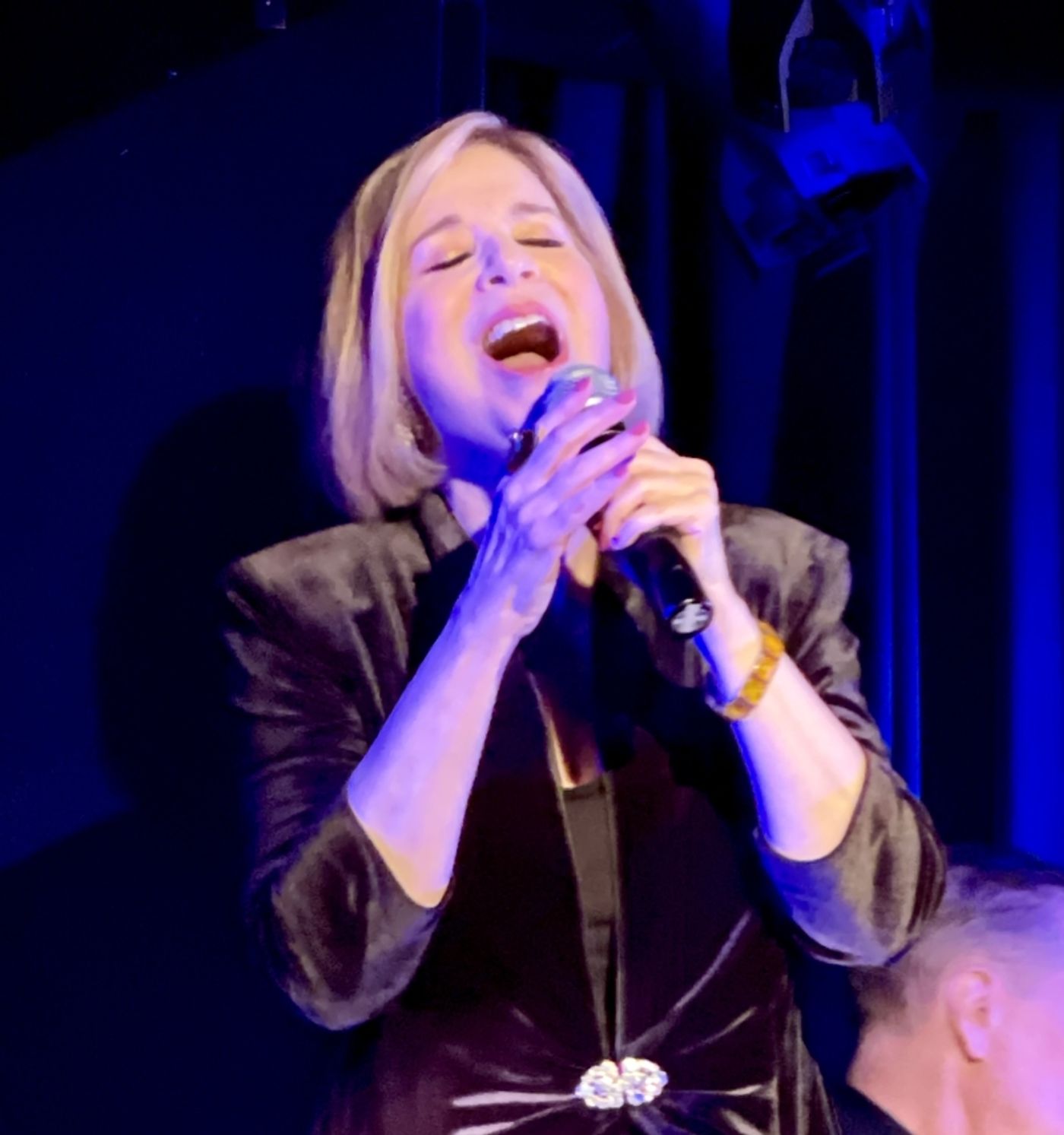 Review: Celia Berk's A DREAM AND A SONG at The Laurie Beechman Theatre is a triumph!  Image