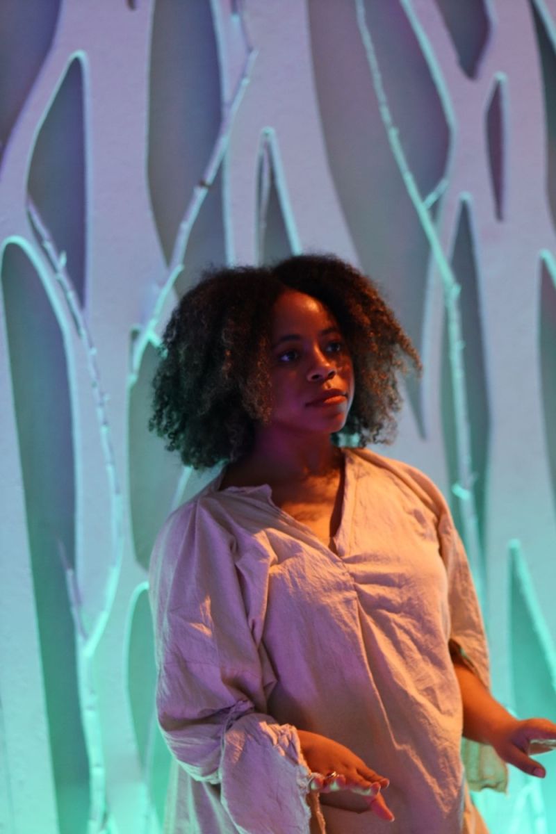 Photos: First Look At Third Law With WHAT WILL THE NEIGHBORS SAY? At Culture Lab LIC — photo 6 of 10