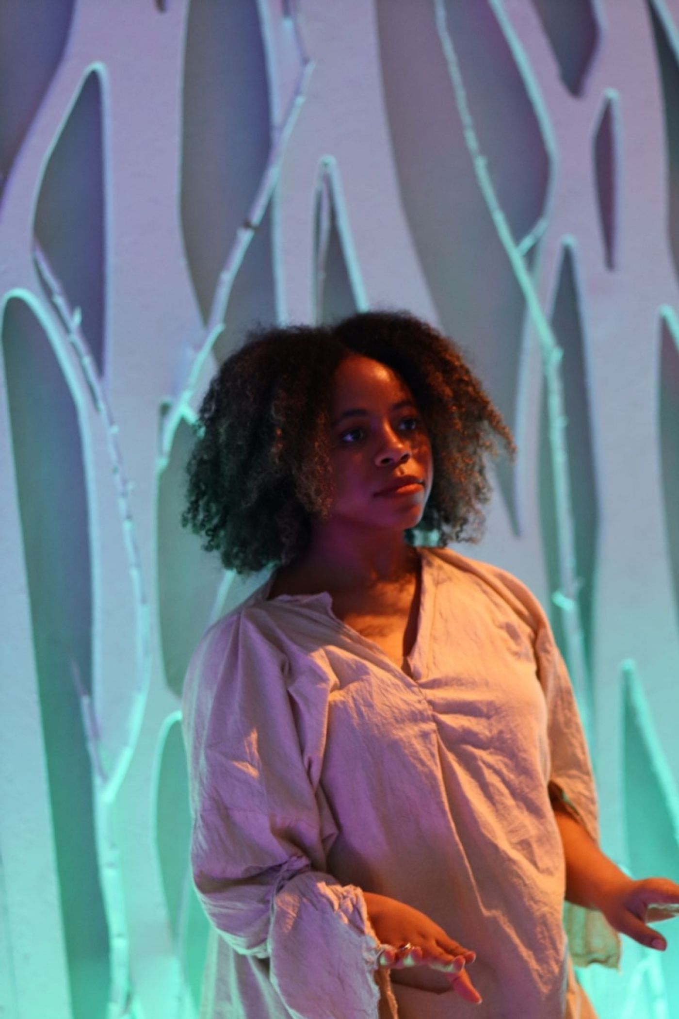 Photos: First Look At Third Law With WHAT WILL THE NEIGHBORS SAY? At Culture Lab LIC  Image