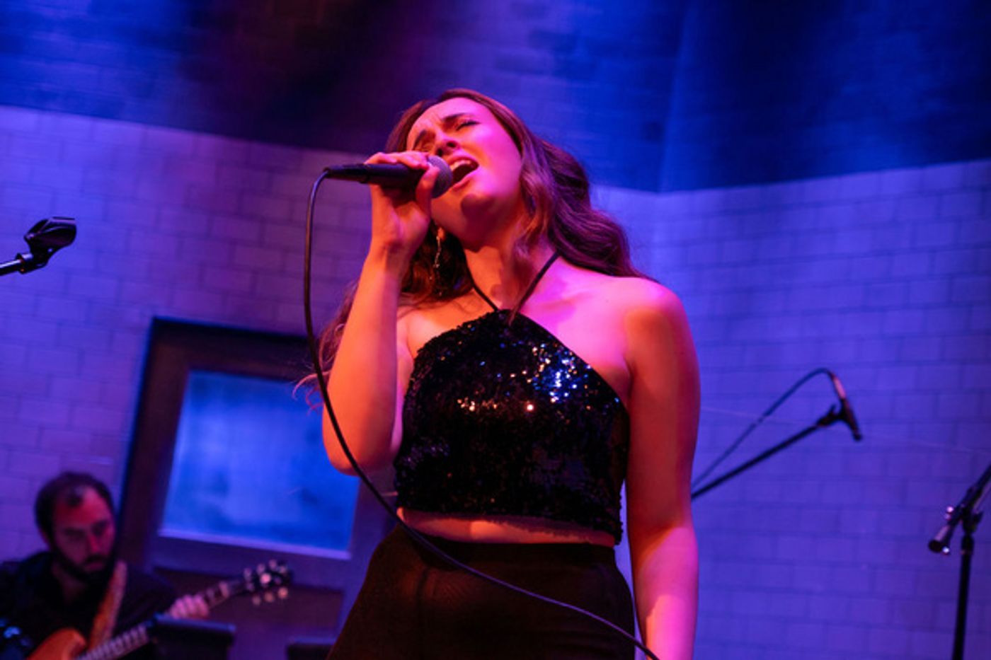 Photos: Rubicon Theatre Company Launches VENTURA LIVE Concert Series With Sold Out Premiere of 'Make Your Own Kind Of Music'  Image