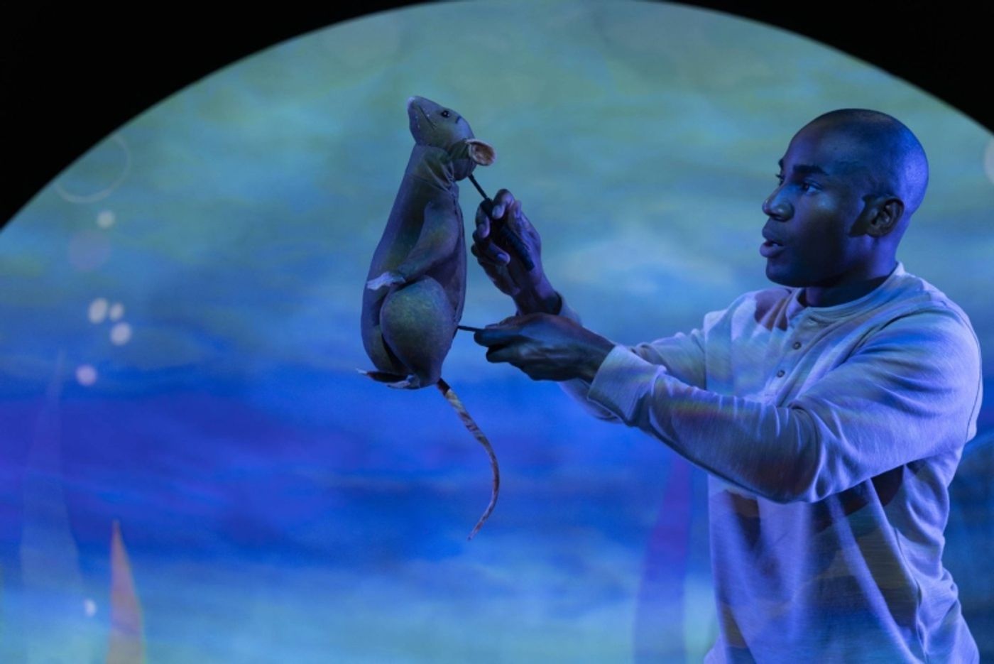 VIDEO: Behind the scenes of THE CURIOUS RAT at the Little Angel Studio VIDEO: Behind the scenes of THE CURIOUS RAT at the Little Angel Studio Image