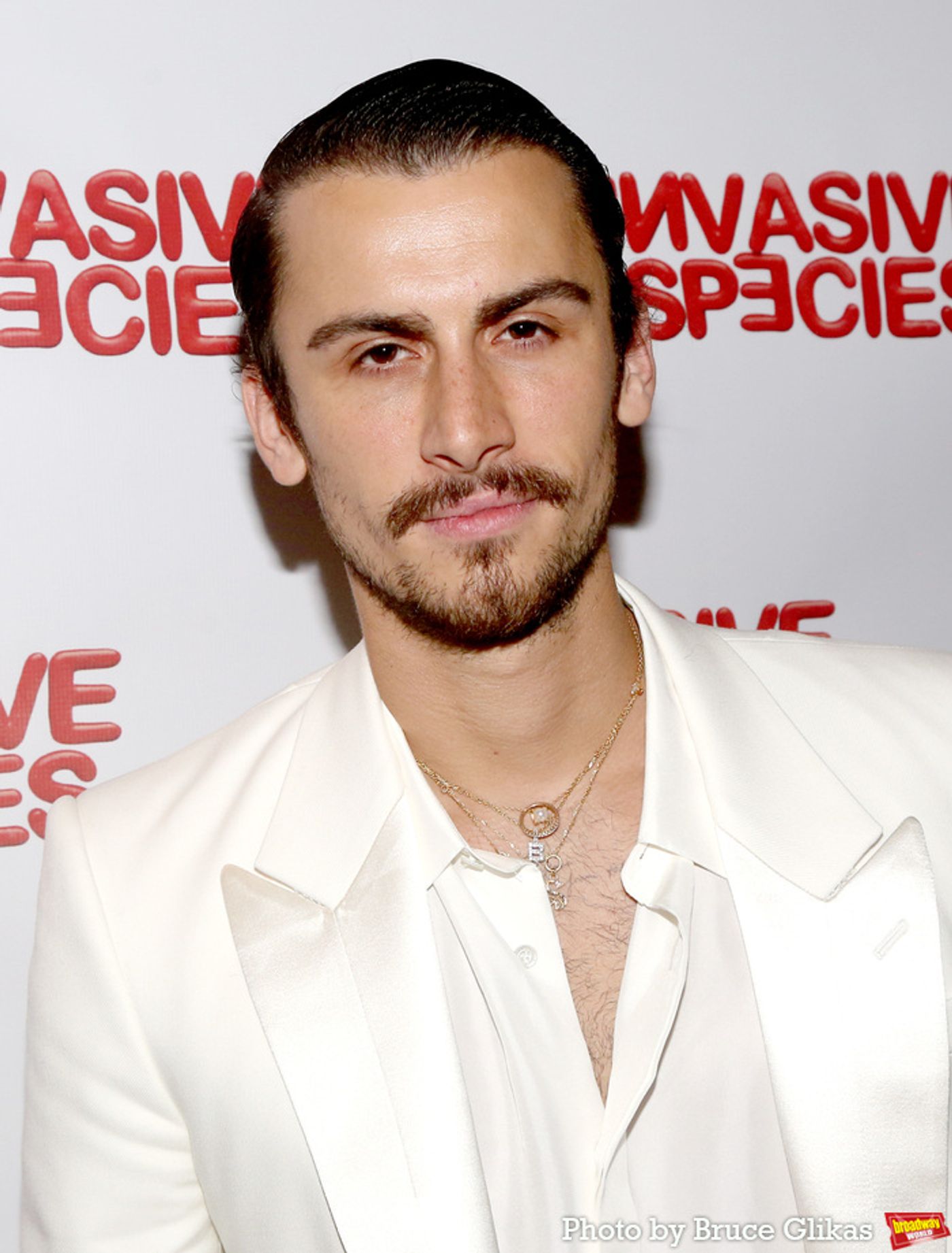 Photo: Inside INVASIVE SPECIES Opening Night at The Vineyard Theatre  Image