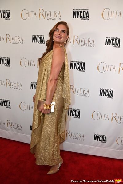 Brooke Shields Photo