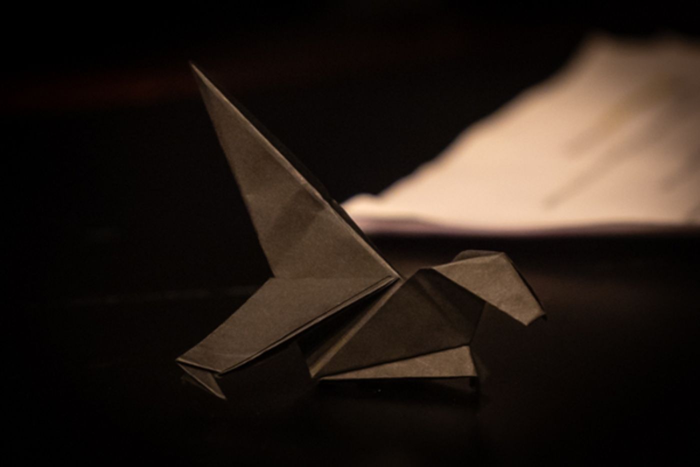 Photos: First look at Evolution Theatre Company's STARMAKER  Image