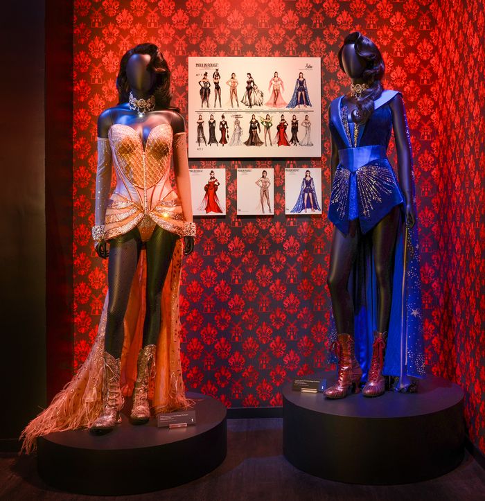 Photos: Inside the MOULIN ROUGE! Exhibit at the Museum of Broadway — photo 10 of 19
