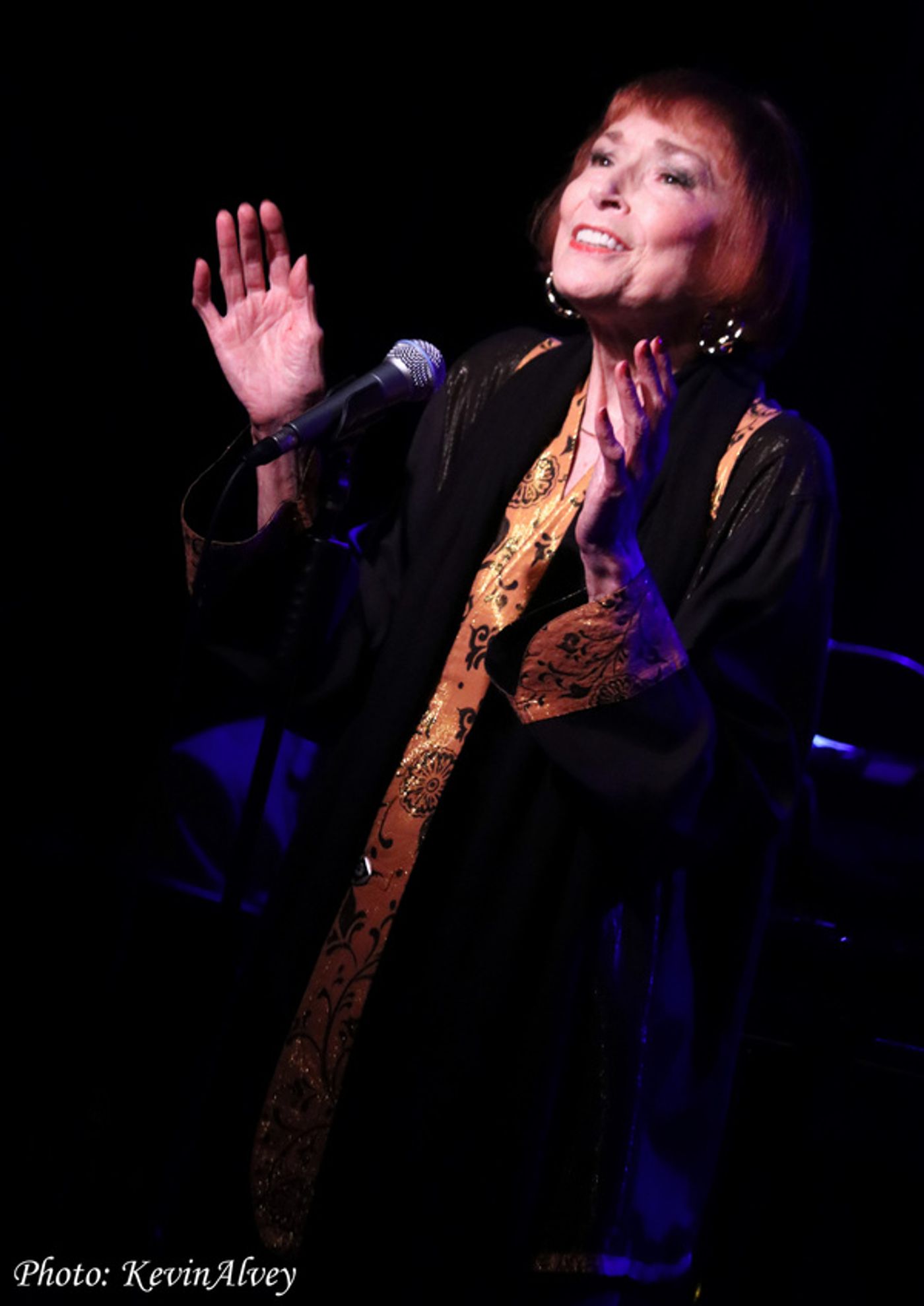 Photos: Singer/Actress Karen Akers Returns to Birdland  Image