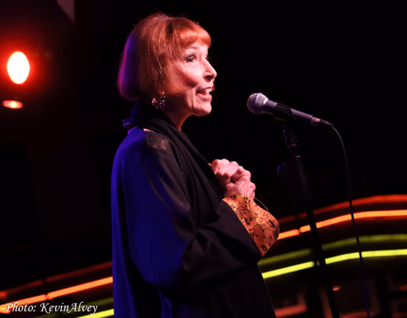 Photos: Singer/Actress Karen Akers Returns to Birdland  Image