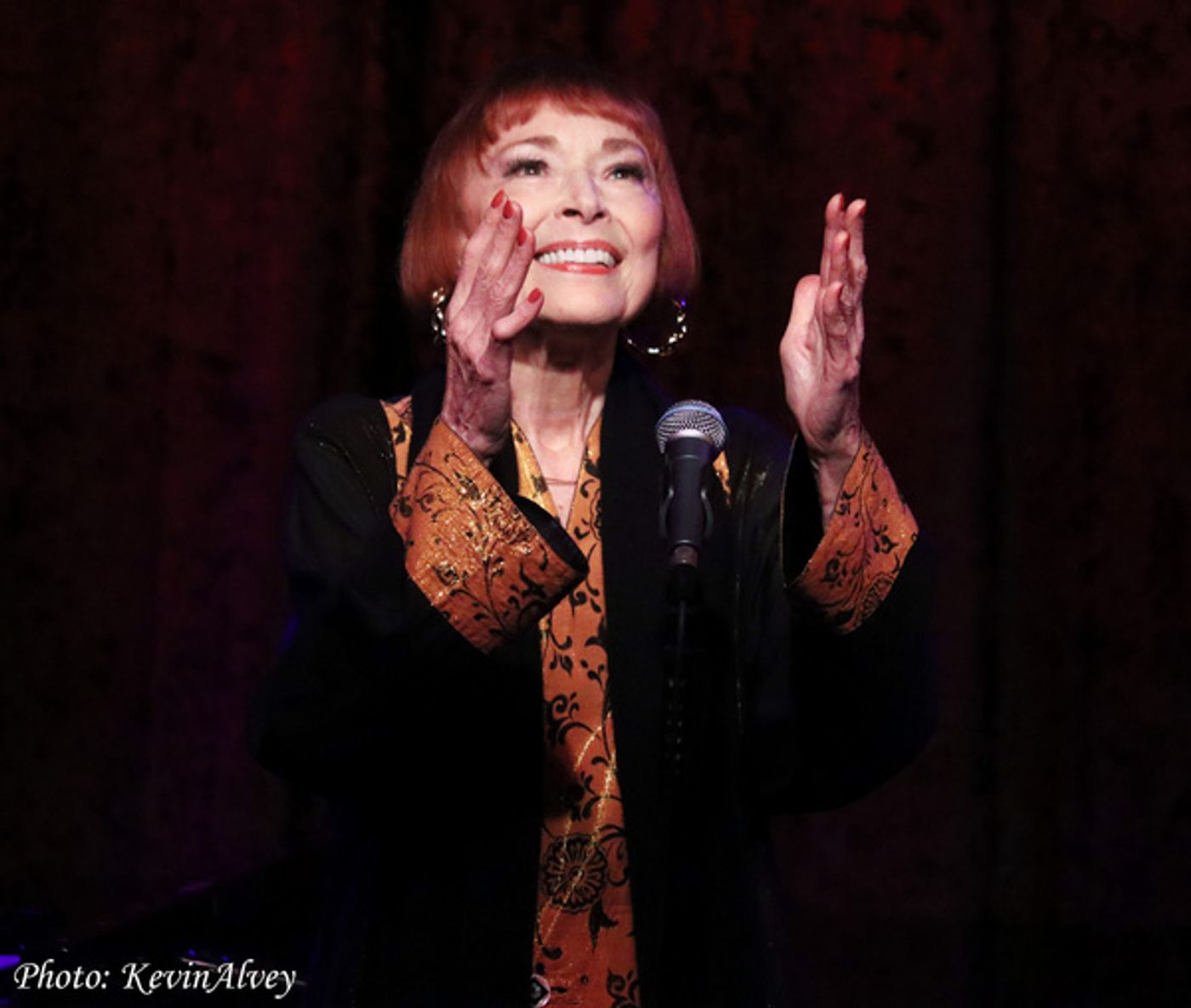 Photos: Singer/Actress Karen Akers Returns to Birdland  Image
