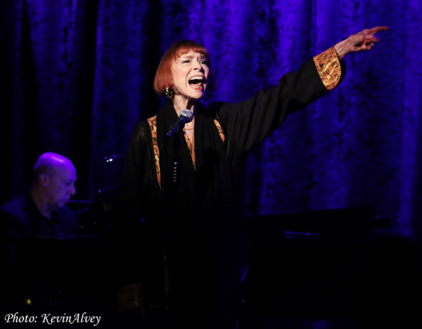 Photos: Singer/Actress Karen Akers Returns to Birdland  Image