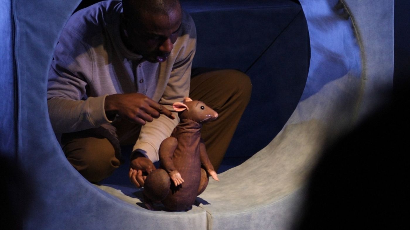 VIDEO: First Look at THE CURIOUS RAT at the Little Angel Studio  Image