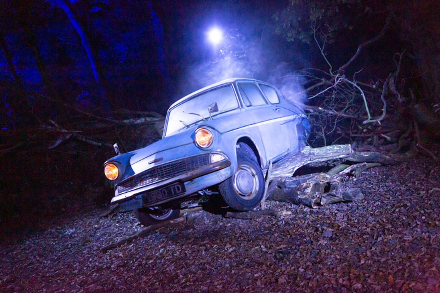 Review: HARRY POTTER: A FORBIDDEN FOREST EXPERIENCE at The Briars Community Forest  Image