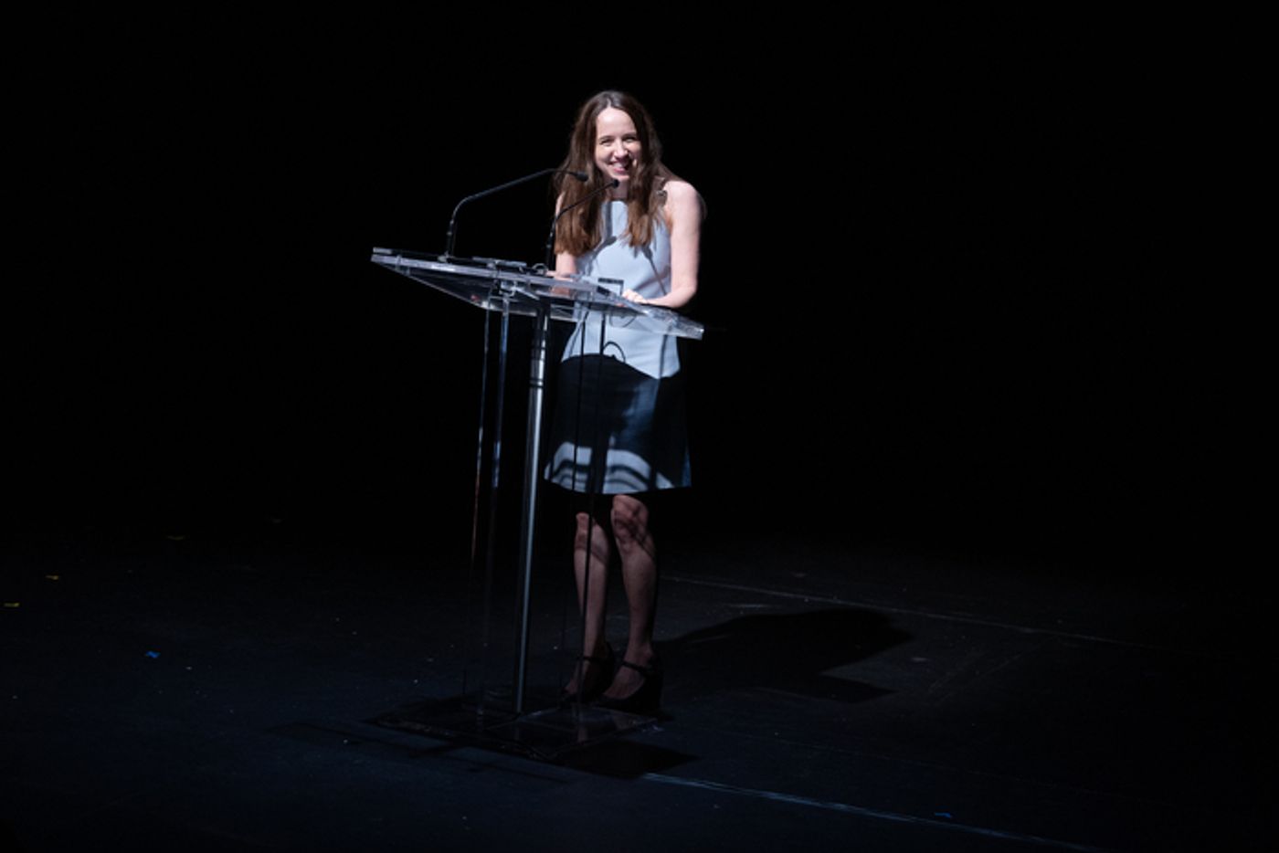 Photos: See Sarah Paulson, Lila Neugebauer & More at Signature Theatre's 2024 Gala  Image