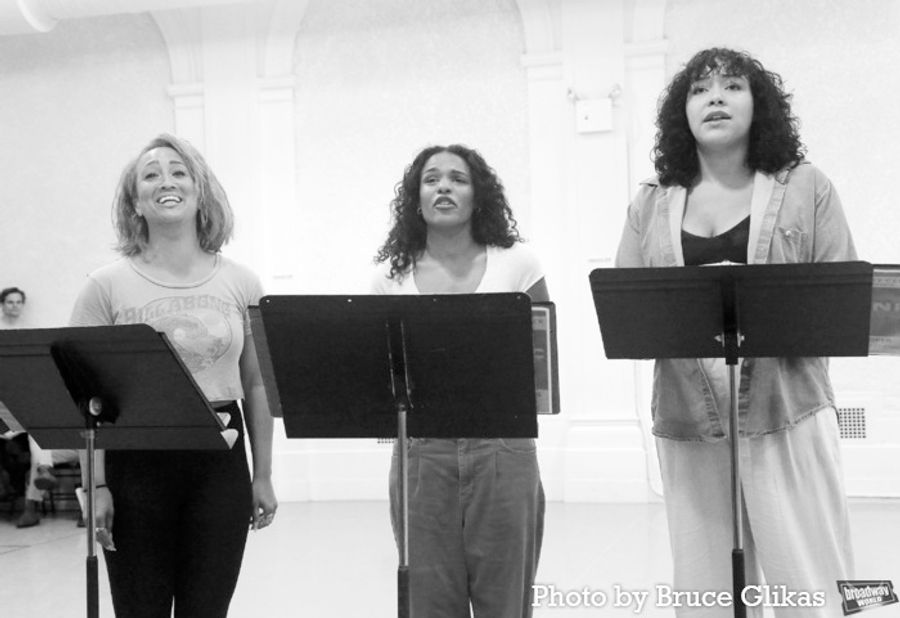 Photos: The Cast of Encores! TITANIC Meets the Press Image