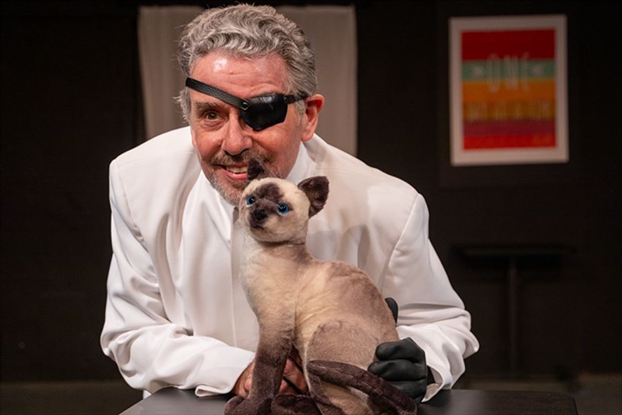 Review: THE SPY WHO WENT INTO REHAB at Pacific Resident Theatre Image