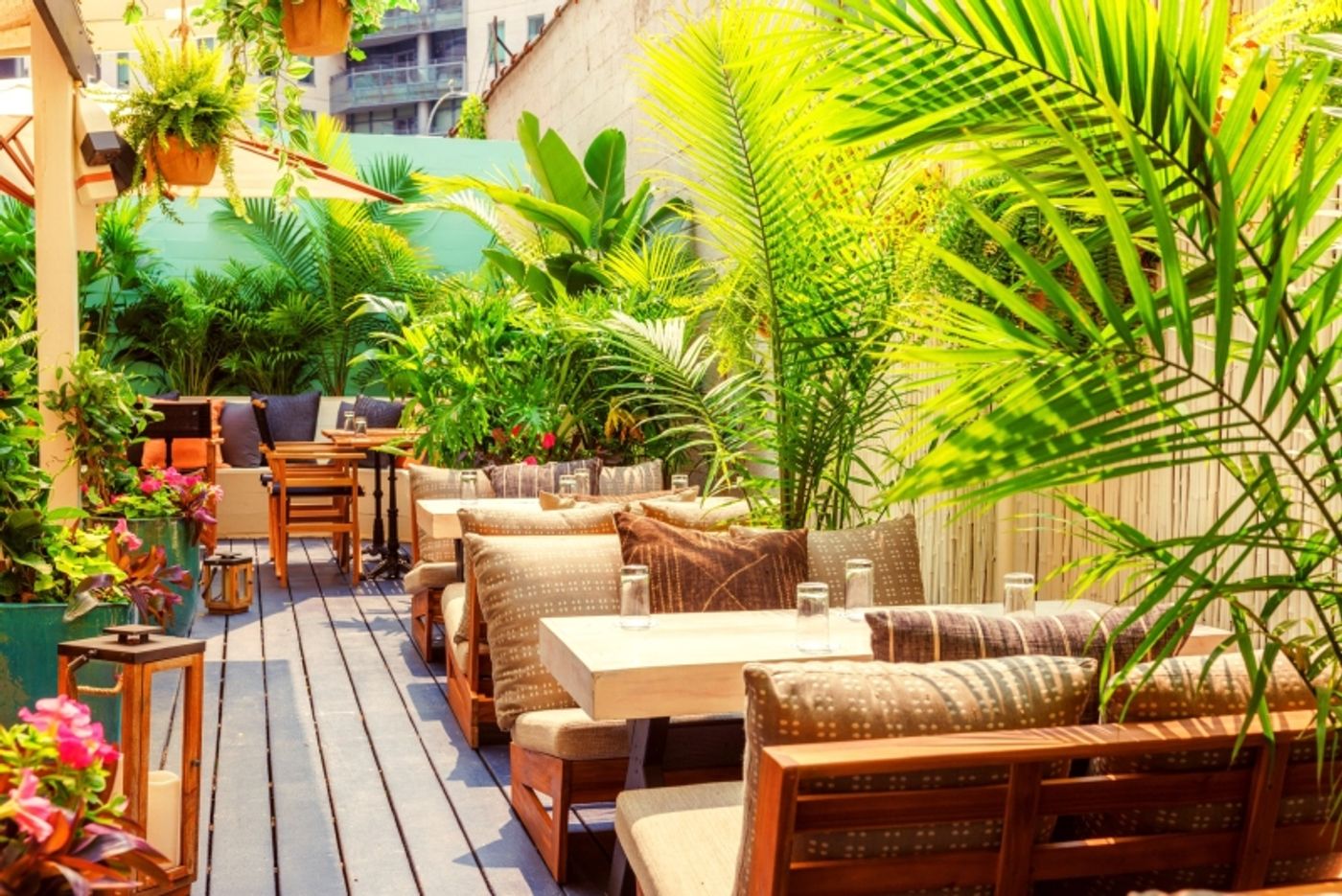 Review: GILLIGAN'S in SoHo is Your Summer Retreat  Image