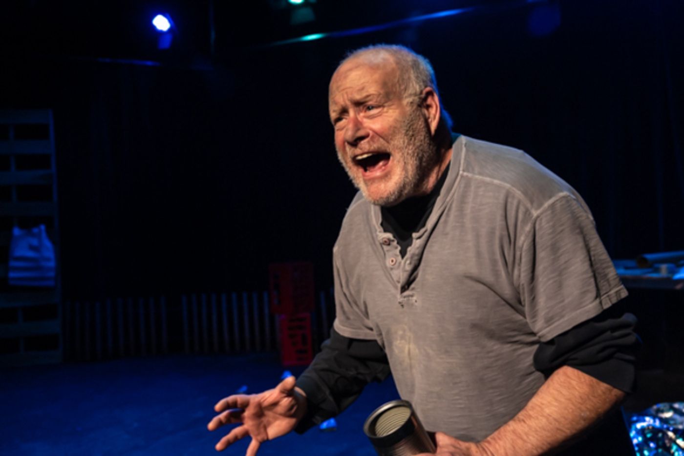 Photos: First look at Michael's Madness Production's VIEW FROM A SMALL PLANET Photos: First look at Michael's Madness Production's VIEW FROM A SMALL PLANET Image