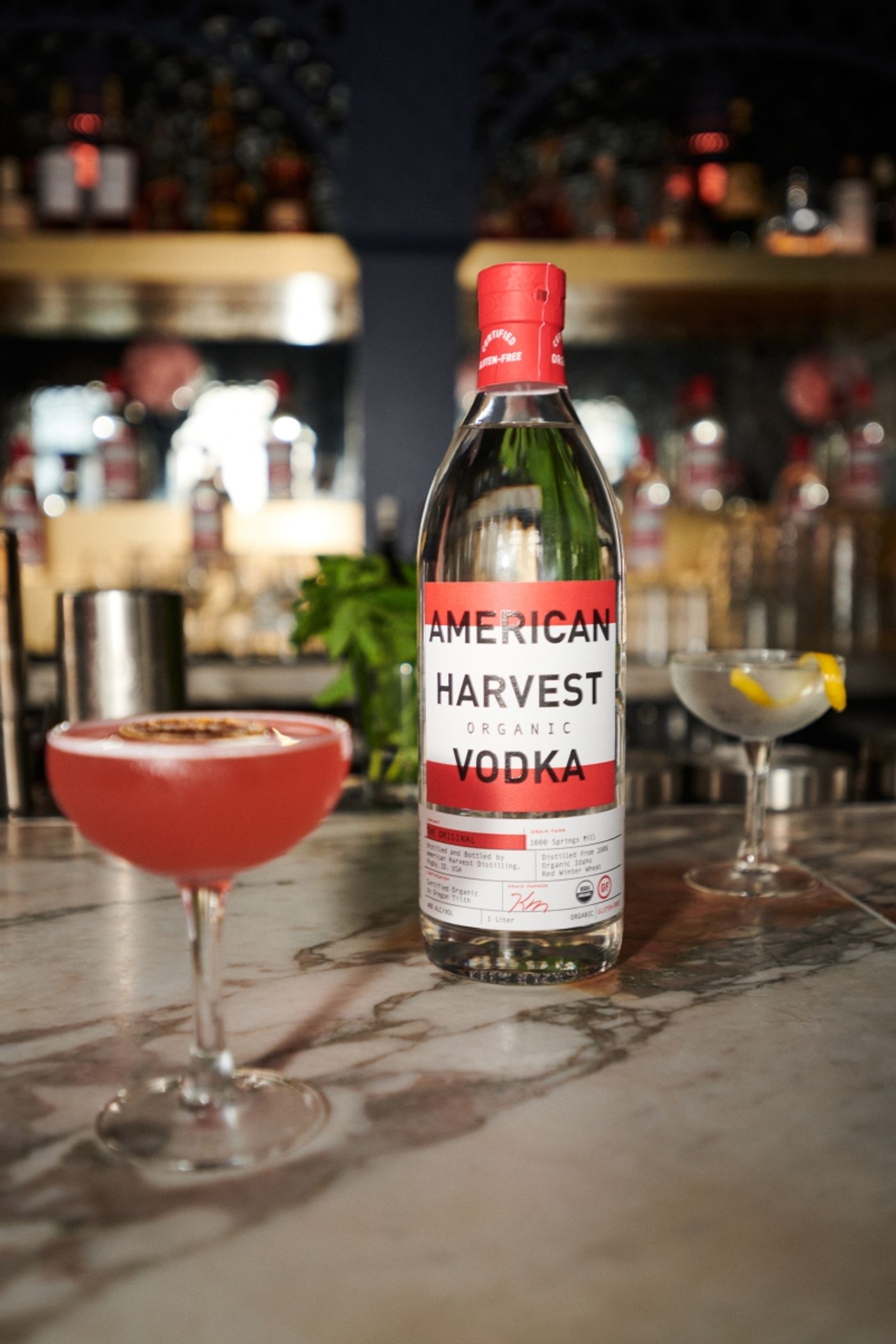 AMERICAN HARVEST VODKA for Your Summertime Cocktails-5 Outstanding Recipes  Image