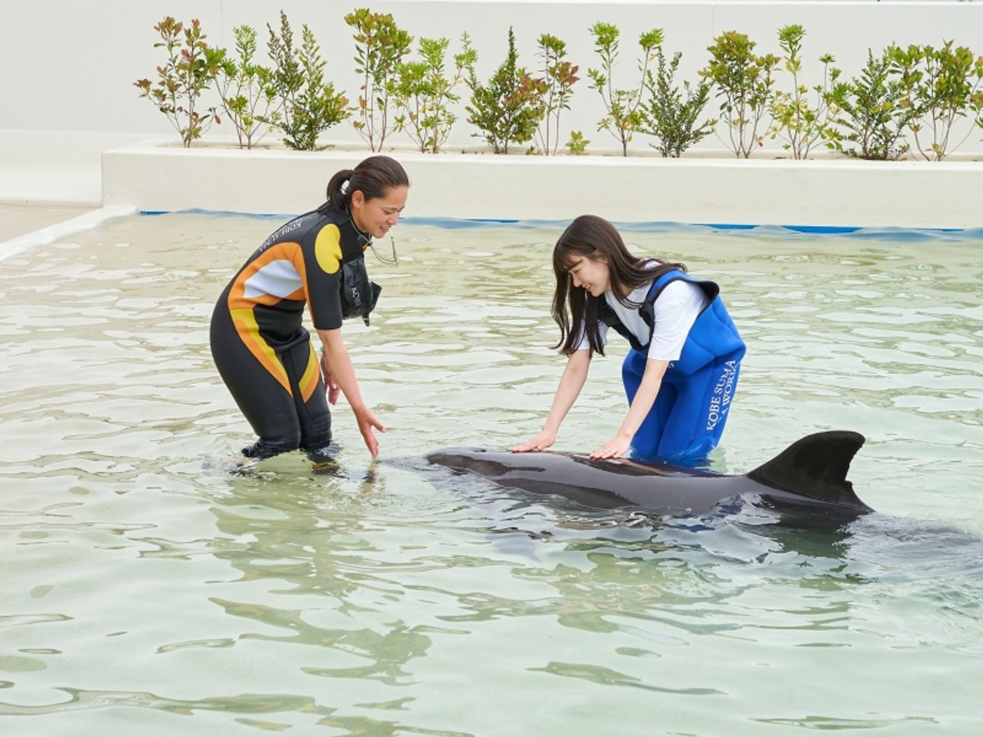FEATURE: OPENED JUNE 1ST! DIVE INTO THE WONDERS OF KOBE SUMA SEA WORLD  Image