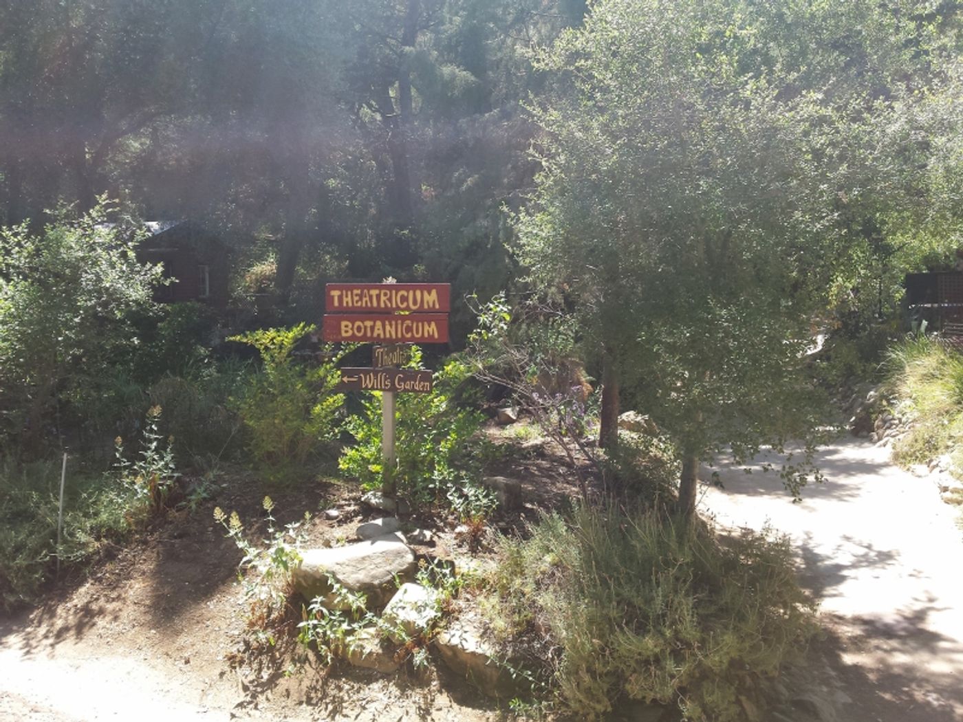 Review: THE WINTER'S TALE at Will Geer Theatricum Botanicum  Image