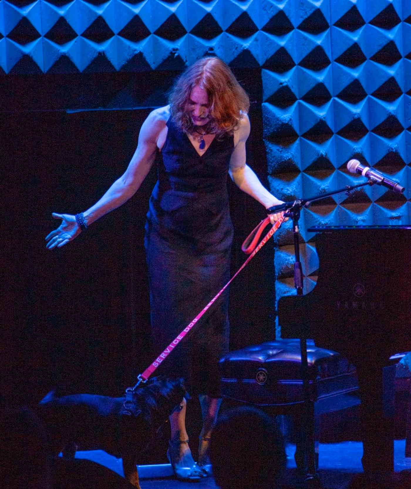 Review: ALICIA WITT The Coolest Of Cool at Joe's Pub  Image