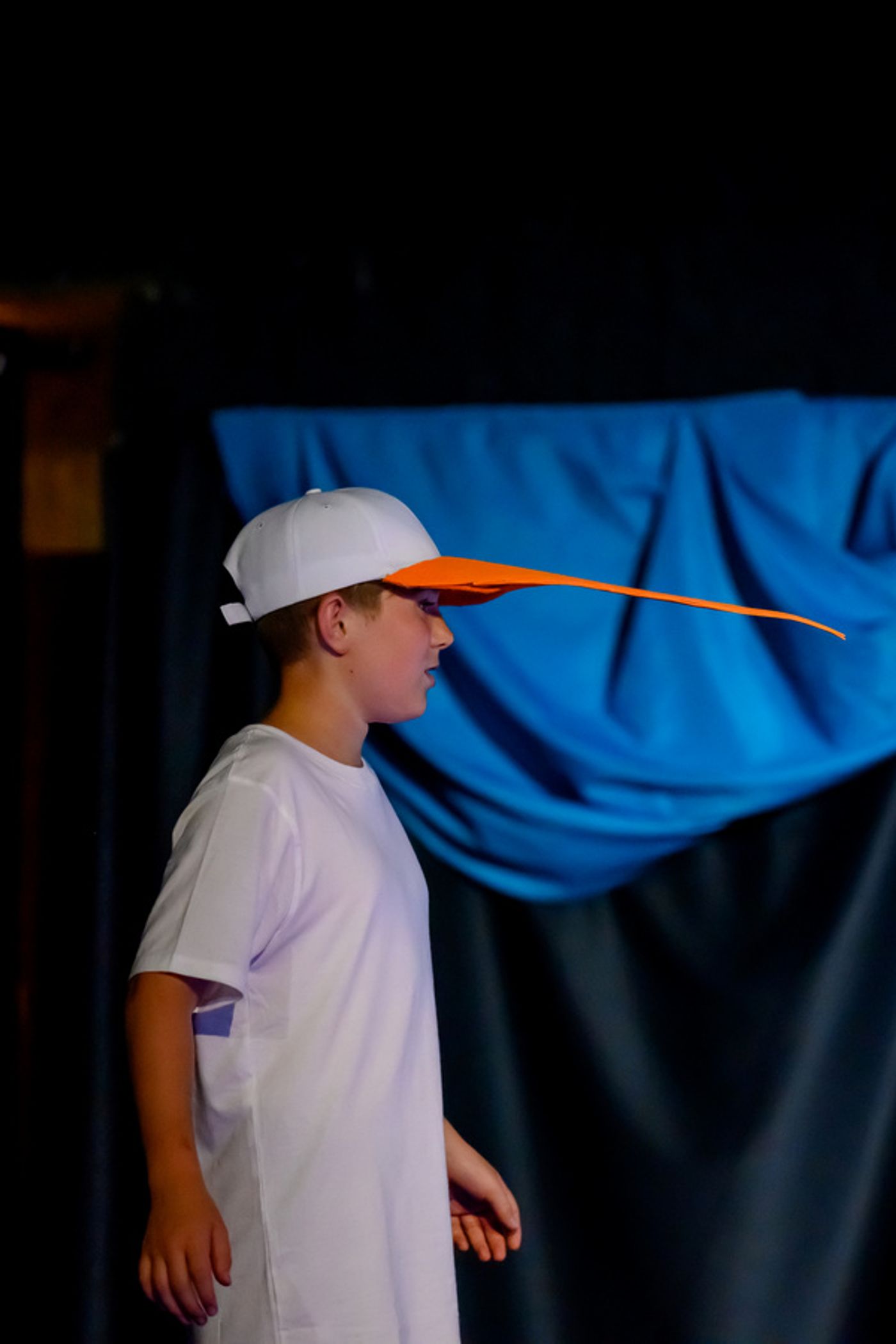 Photos: First Look At FINDING NEMO, JR. At Victoria Players Children's Theater Photos: First Look At FINDING NEMO, JR. At Victoria Players Children's Theater Image