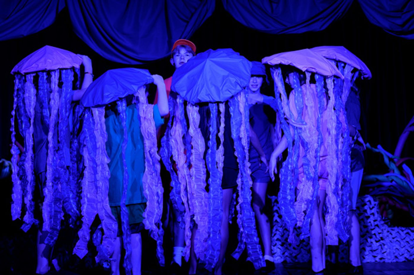 Photos: First Look At FINDING NEMO, JR. At Victoria Players Children's Theater Photos: First Look At FINDING NEMO, JR. At Victoria Players Children's Theater Image