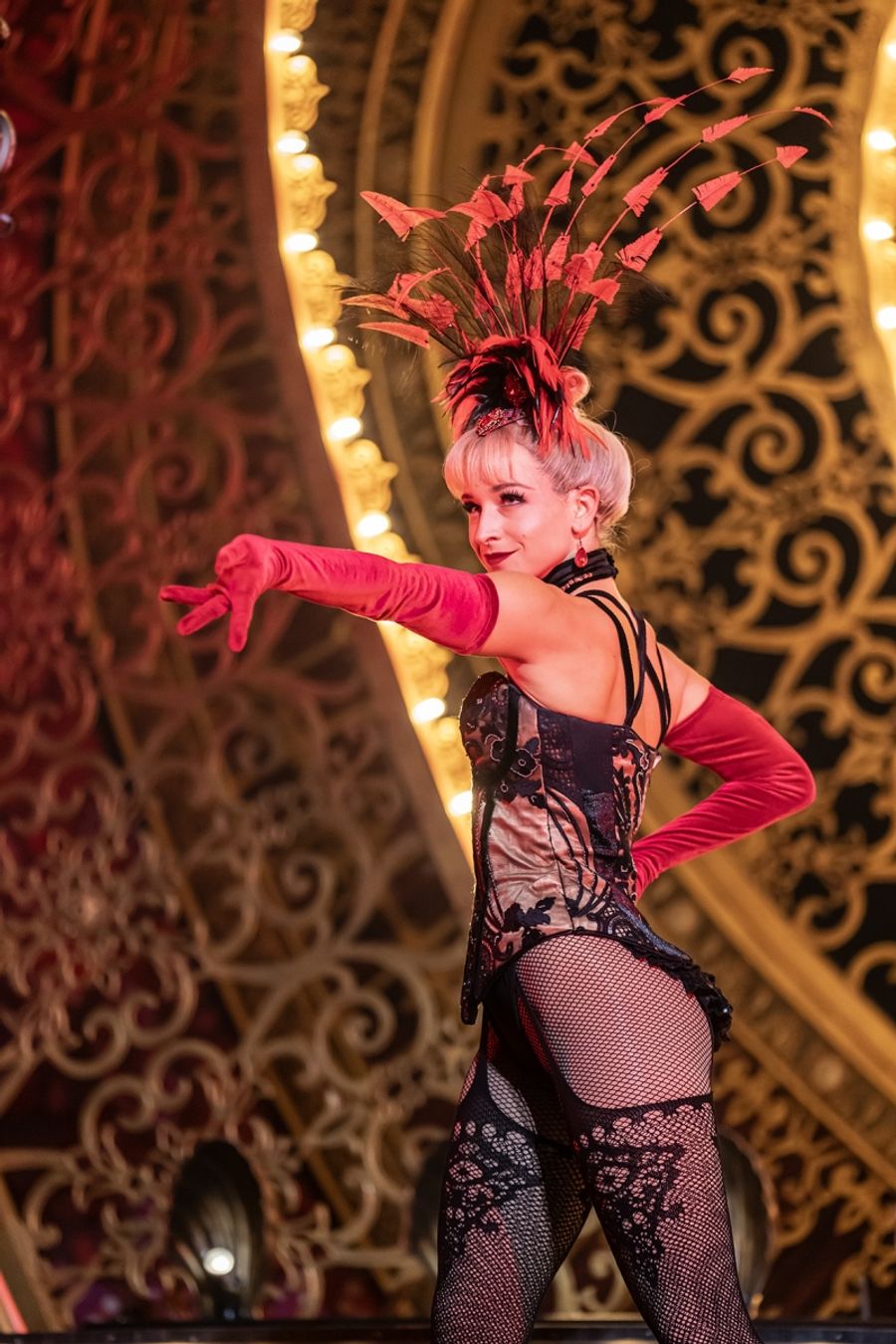 Interview: Austria's AK Naderer Joins MOULIN ROUGE North American Tour Image