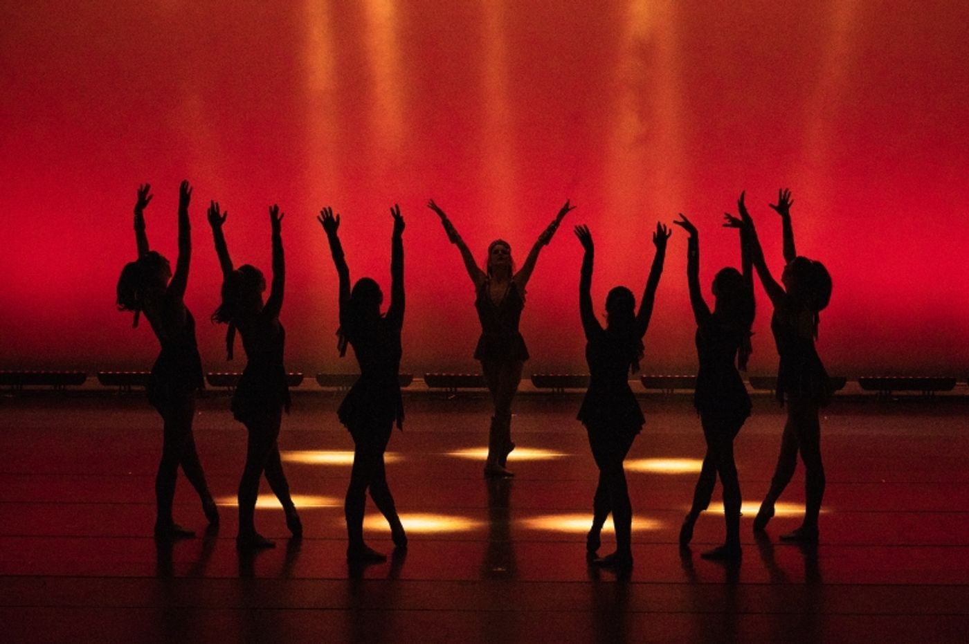 Interview: Marilyn Klaus, Artistic Director/Choreographer  Image