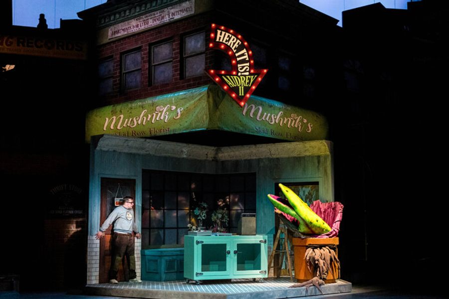 Photos: First Look At Will Roland & China Brickey in The Guthrie's LITTLE SHOP OF HORRORS Image