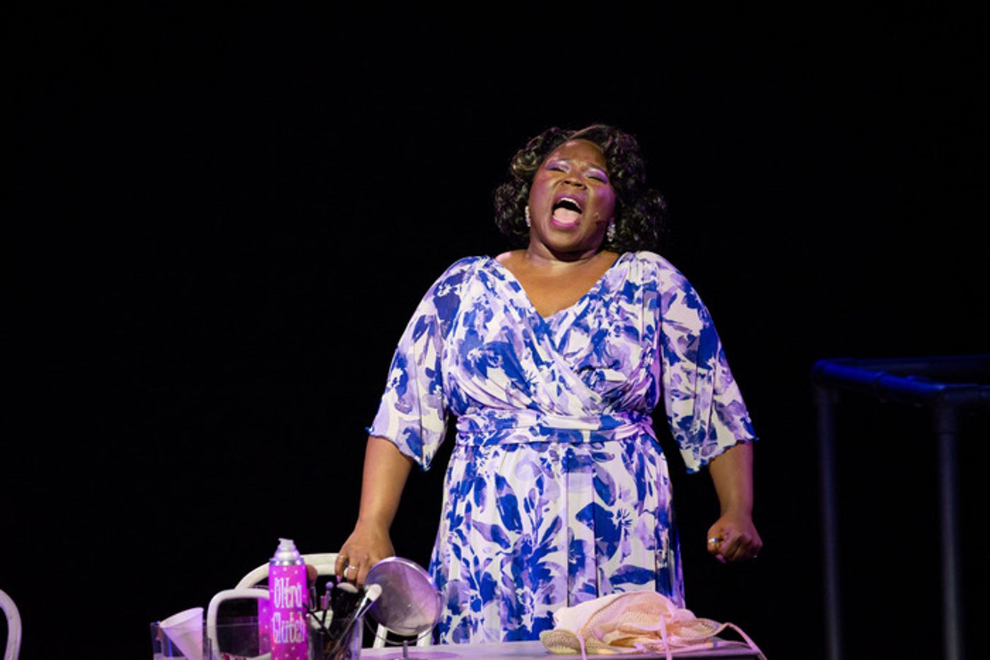 Photos: Get a First Look at DREAMGIRLS at The Muny  Image