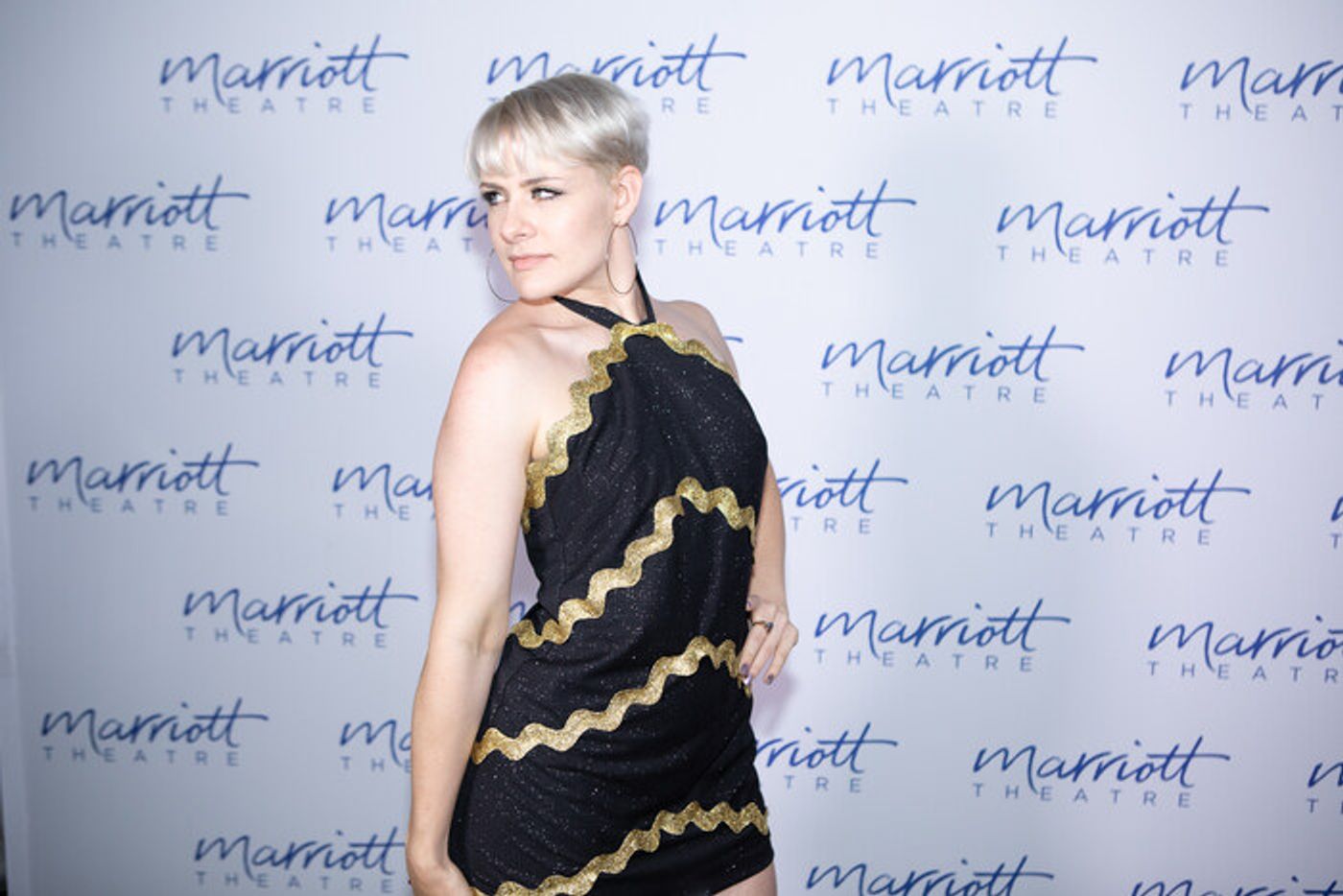 Photos: Inside Opening Night of BEEHIVE: THE 60'S MUSICAL at the Marriott Theatre  Image