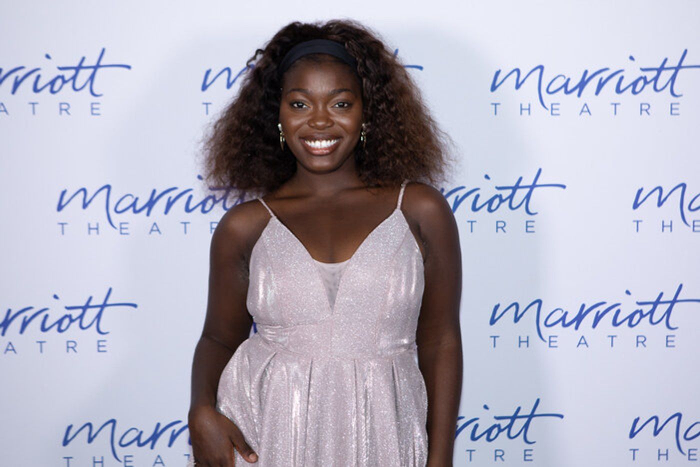 Photos: Inside Opening Night of BEEHIVE: THE 60'S MUSICAL at the Marriott Theatre  Image