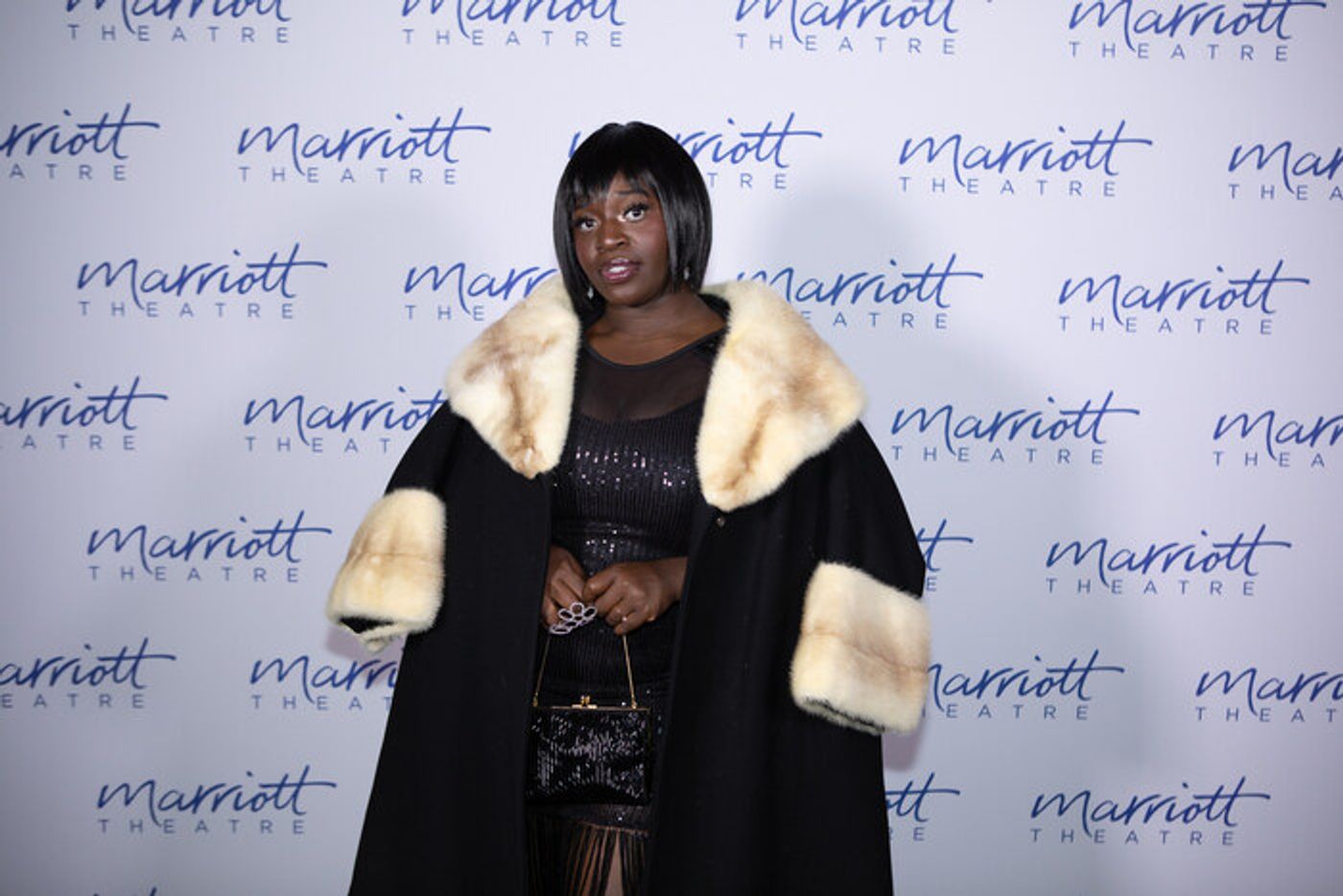 Photos: Inside Opening Night of BEEHIVE: THE 60'S MUSICAL at the Marriott Theatre  Image