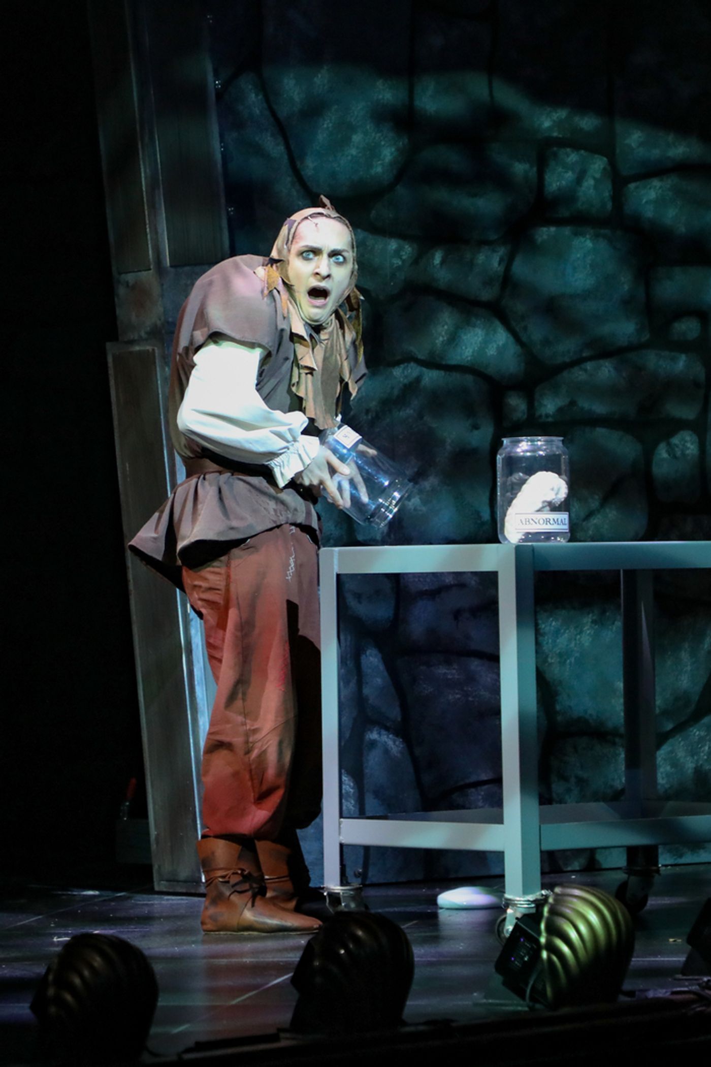Photos: First Look at YOUNG FRANKENSTEIN at Berkshire Theatre Group  Image