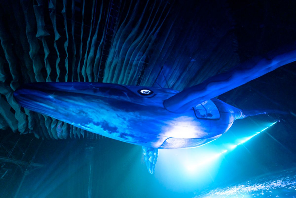 Aven by Fuerza Bruta,            , Director - DIQUI JAMES;
Music Creator - GABY KERPEL; Technical Director -
ALEJANDRO GARCIA, General Coordinator - 
FABIO D’AQUILA, Lighting Designer - GASPAR POTOCNIK,  Performers - 
GEORGINA SEVA LUCIA ECHAZU MARIA FIGUEROA CINTIA TORRES GARCIA DEOLINDA PEREIRA DELVALLE
Production Manager
FELIPE ROMERO
Head Crew
JOSE SALVATIERRA
Sound
FEDERICO CONI
FERNANDO DRAGONE
AGUSTIN LAZARTE BURGOS
DAMIAN GOMEZ
FABIAN SOSA BRITES
DJ-BRESH
LUZ RODRIGUEZ
Performed at the Roundhouse; London, 2024 at 