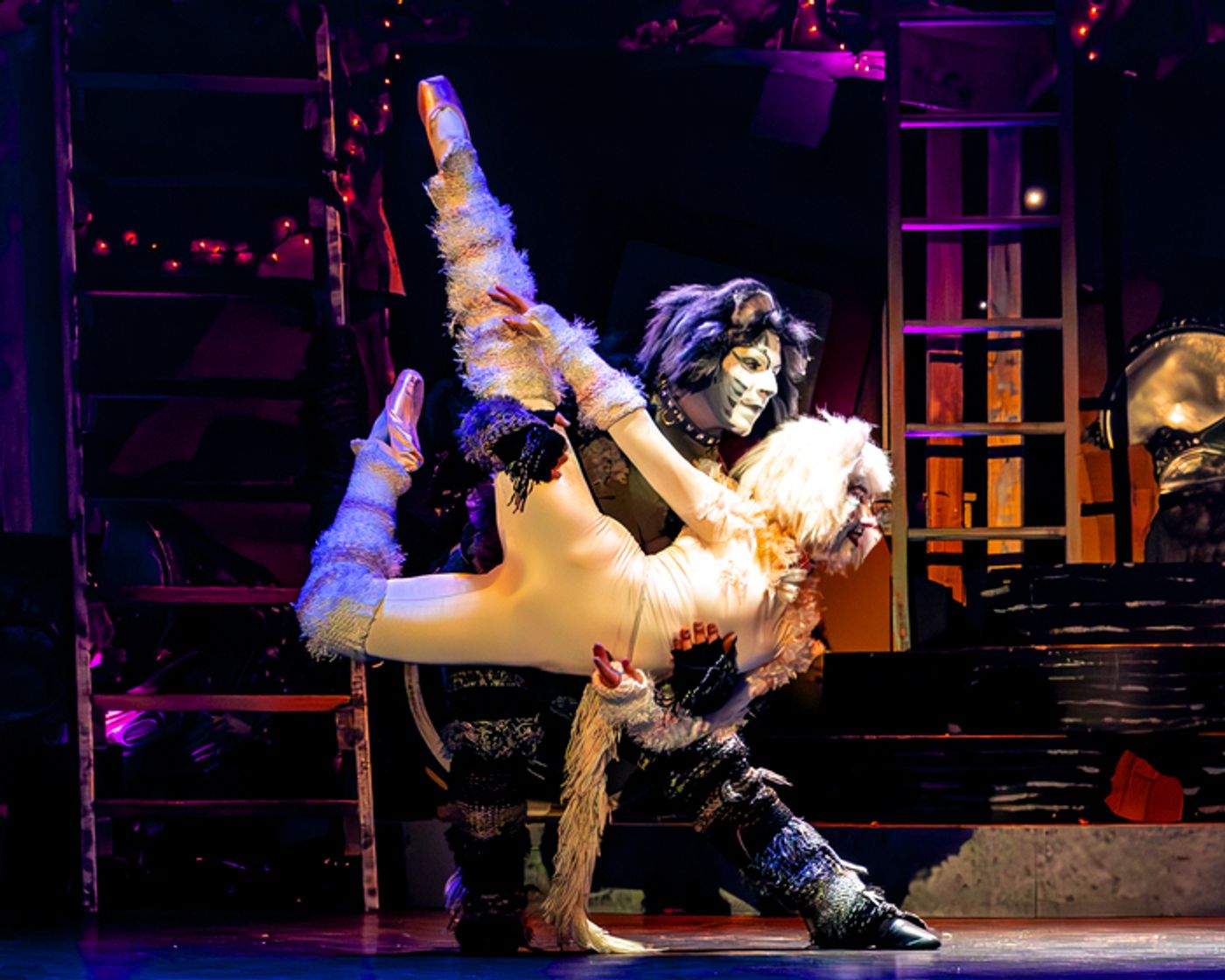 Photo/Video: CATS Comes To Life At Algonquin Arts Theatre  Image