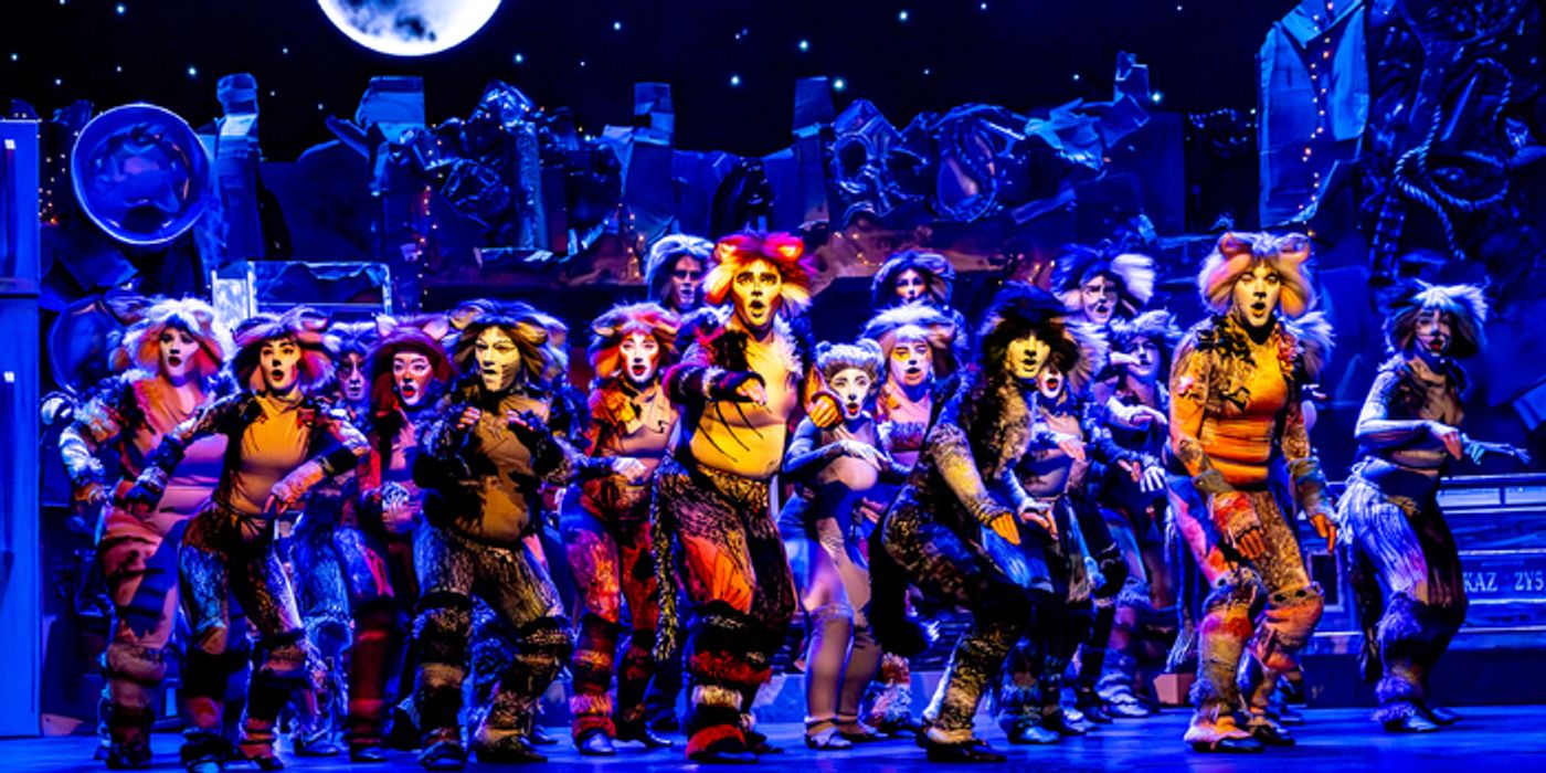 Photo/Video: CATS Comes To Life At Algonquin Arts Theatre  Image